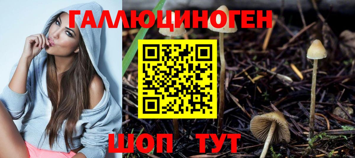 Псилоцибиновые грибы GOLDEN TEACHER  Галлюциногенные грибы Psilocybe  Шахты  Вход с VPN 
